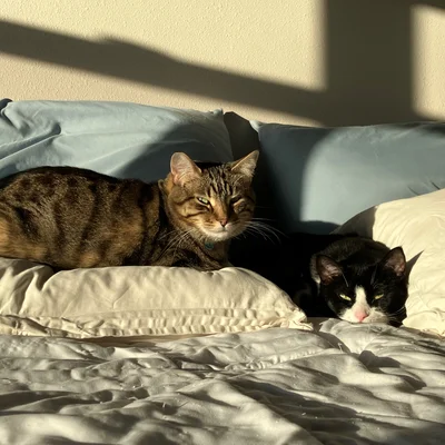 Xena & Midna